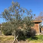 De Marchet Alojamento de Acomodação e Pequeno-almoço 4*